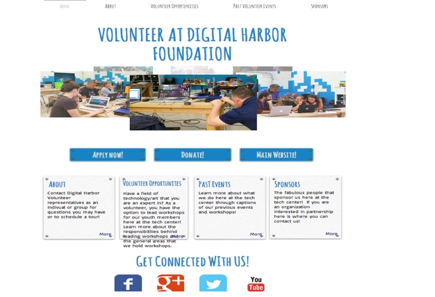 DHF volunteer website