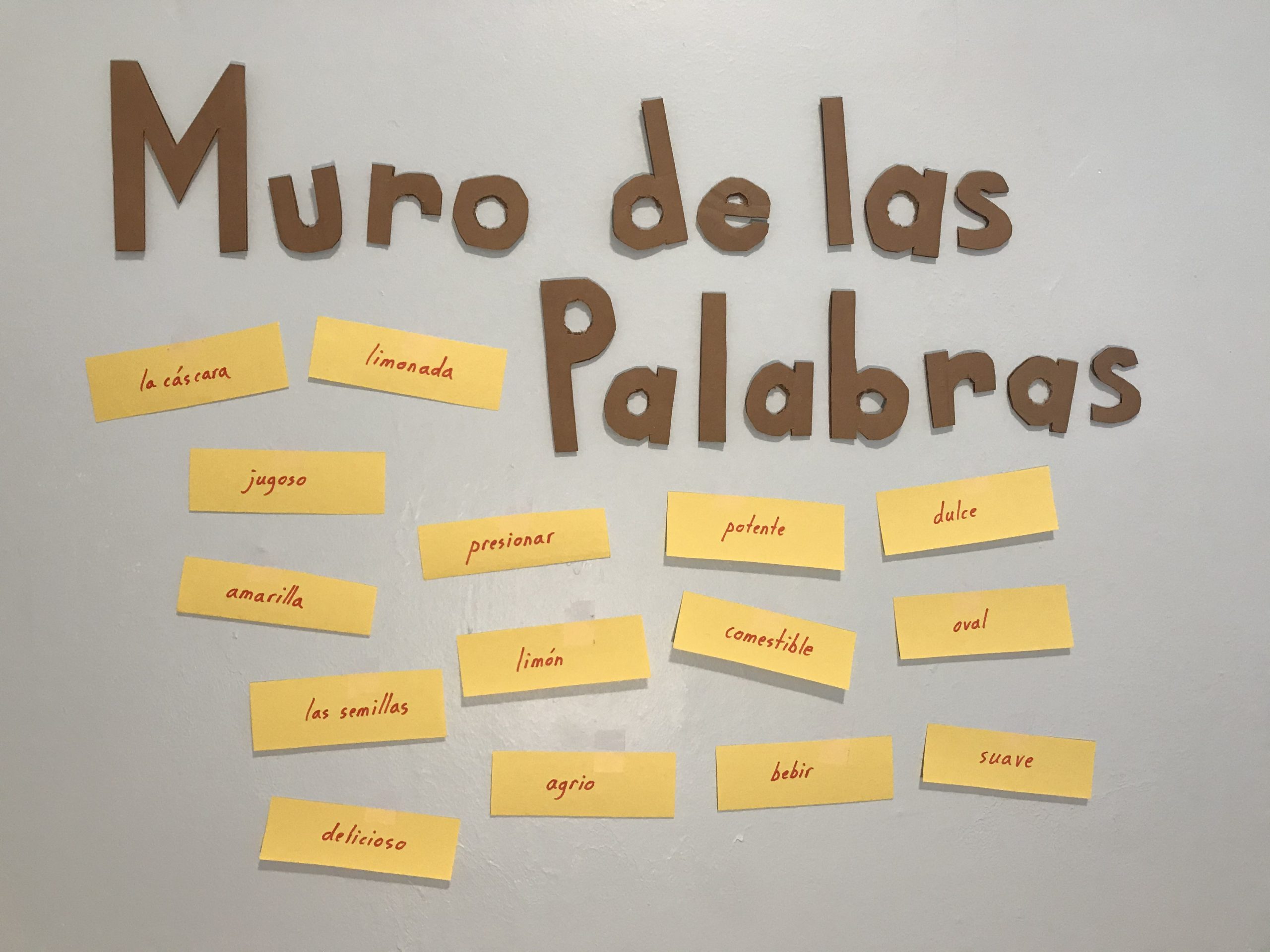 A Muro de las Palabra: several words written on cards and hanging on a wall