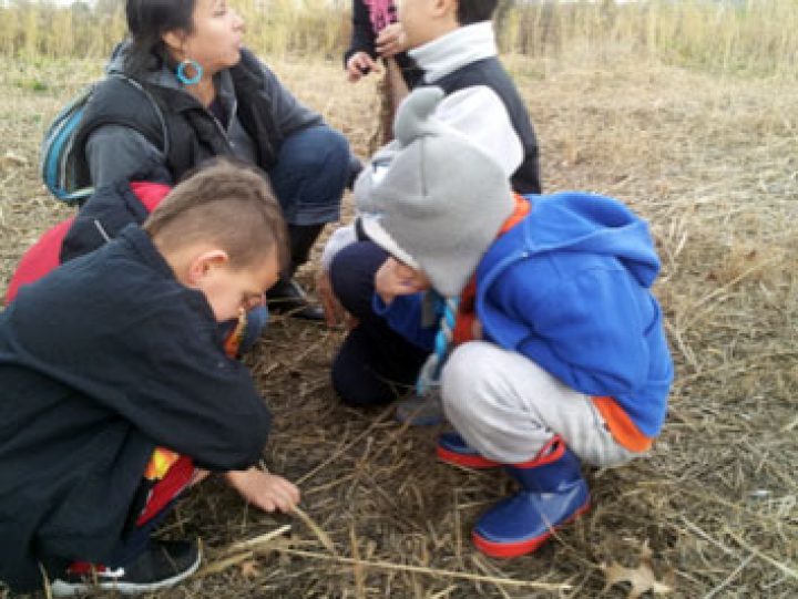 Implementing Meaningful STEM Education with Indigenous Students & Families